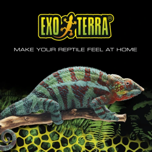 Exo Terra Brand